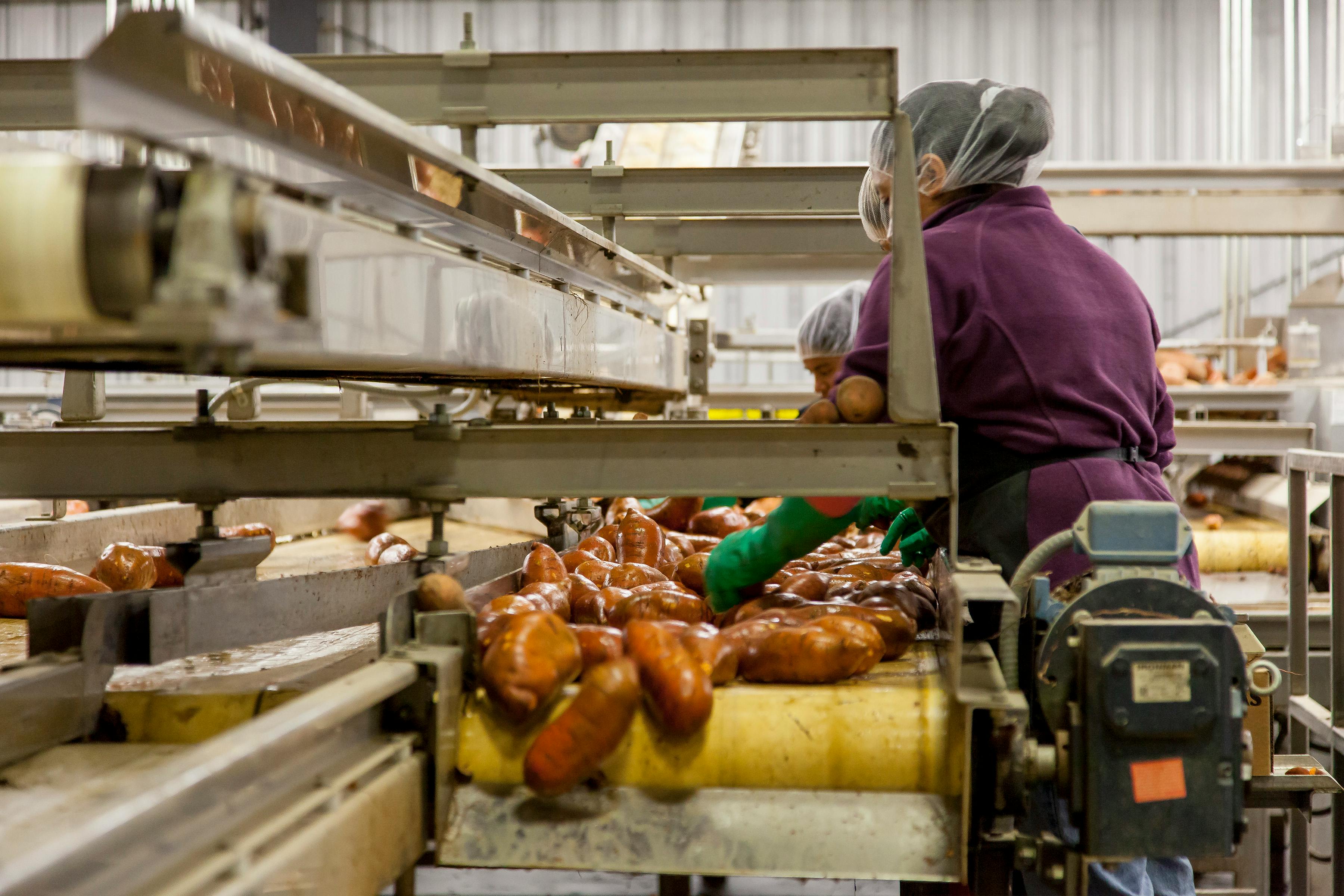 Food Processing Industry 