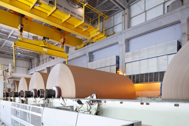 Paper and Cardboard Industry 
